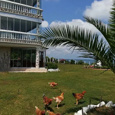 Perice * Sinop