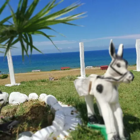 Perice * Sinop